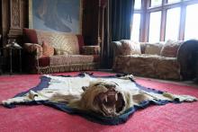 One of the many hunting trophies in Kinloch Castle