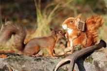 Living Nature Red Squirrel Soft Toy - Large