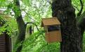 The bird box behind Hooting Lodge