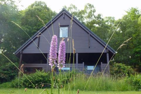 Mingarry Lodges - managing grassland for wild flowers